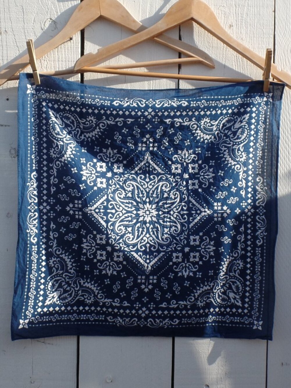 Paisley Linen Scarf